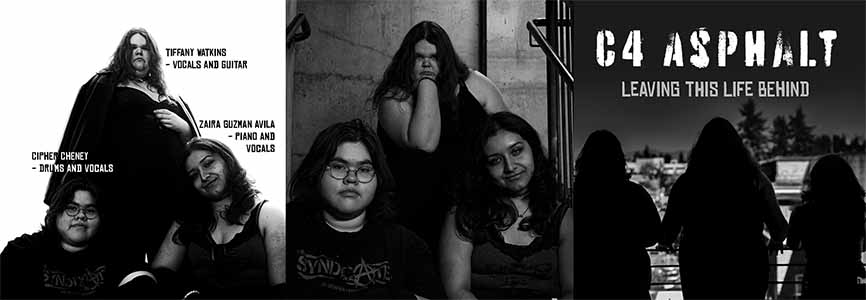 C4 Asphalt 6 panel- outside